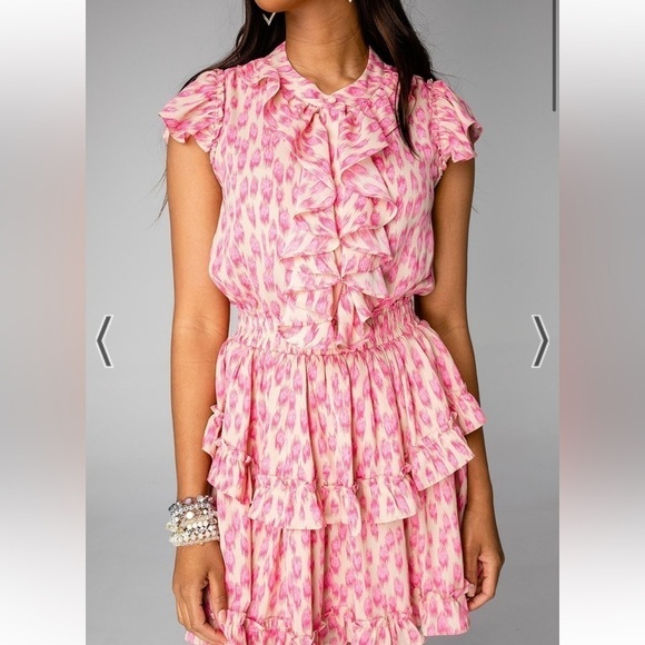 BUDDY LOVE Astrid Ruffle Front Mini Dress - Pink Lady Pink Girly - Picture 3 of 13